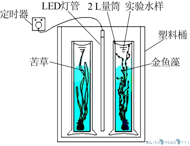 印染生化尾水中残留色度及营养盐去除方法