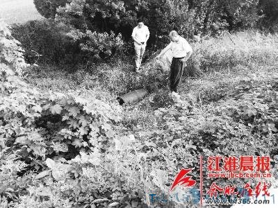 合安高速上掉落一装不明化学品塑料桶 已被安全转移