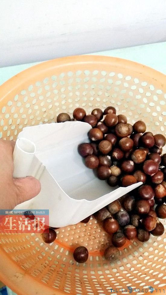 这样一把小铲子，在生活中用处多多。