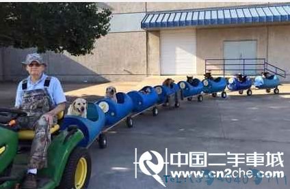 流浪狗