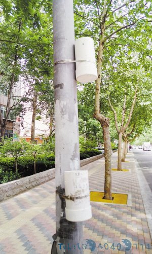 石家庄路灯杆上小塑料桶为科研使用 别往里面丢杂物