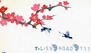 梦娃公益短片