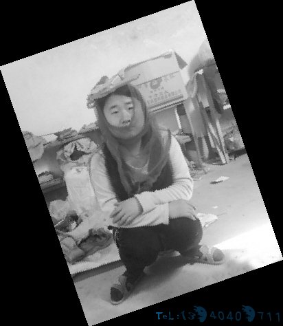 知道“王守英是仙女”是谁吗?看了这些图就能猜到啦