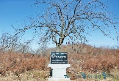 河南“伯夷叔齐墓”现10米深盗洞幸好未进入墓穴