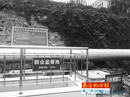 山东临沂否认“禁猪令”与“市长被约谈”有关