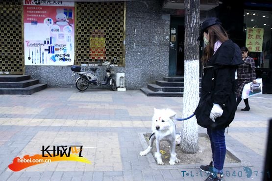 张家口环卫工调查：垃圾请扔垃圾桶 离你仅有50米