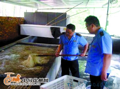贾汪一养猪场内查获“人造鱼翅”7吨多