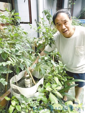废旧塑料桶变身“花园塔”