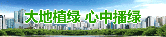 视频曝光！震惊！日照一辆车严重变形，还把塑料桶当油箱在路上跑！结果……