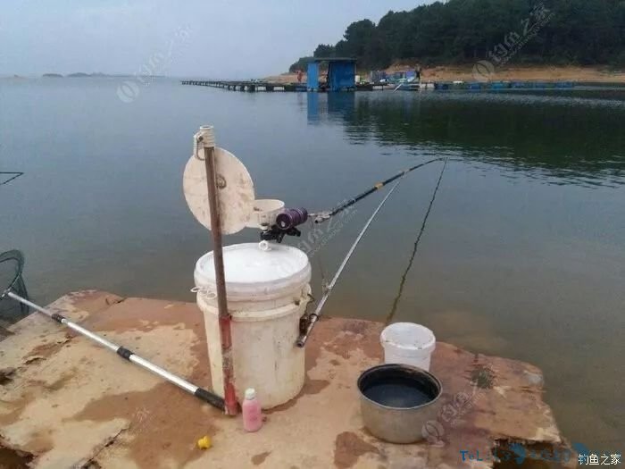 塑料桶做钓箱，第一次见这么牛X的...