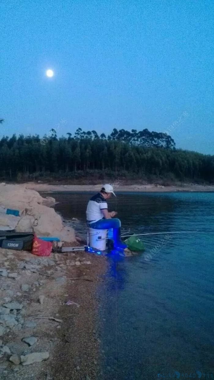 塑料桶做钓箱，第一次见这么牛X的...