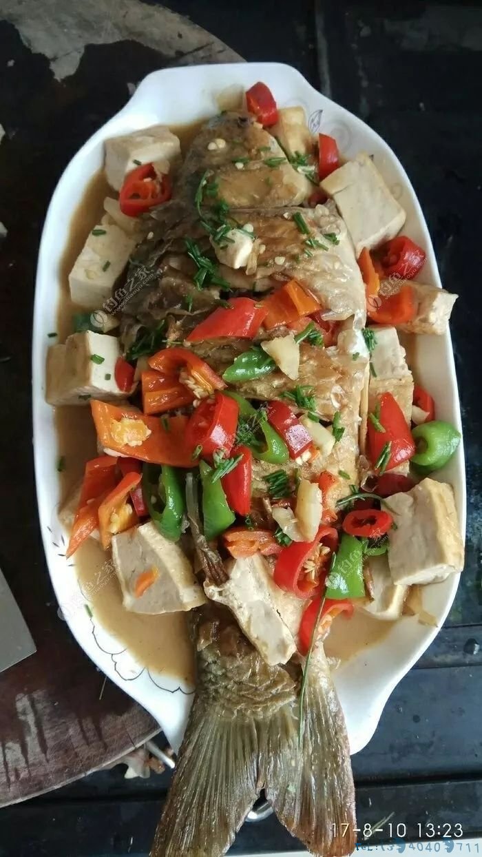 塑料桶做钓箱，第一次见这么牛X的...