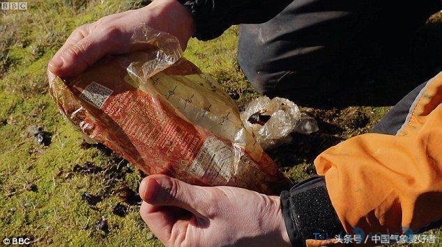 痛心！鲸鱼吞吃塑料桶被卡住，海洋塑料污染触目惊心！