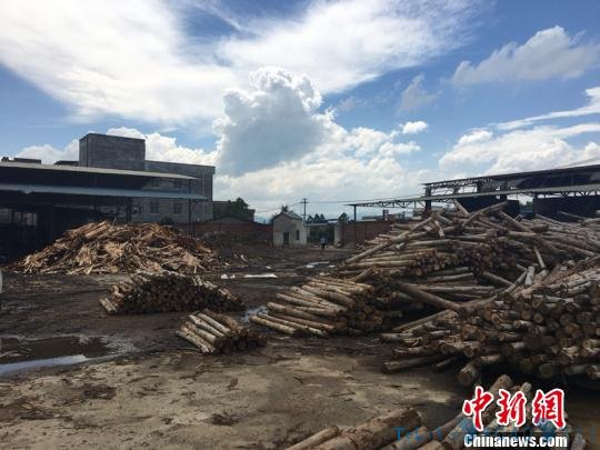 广西警方捣毁藏匿木业厂内特大制毒点