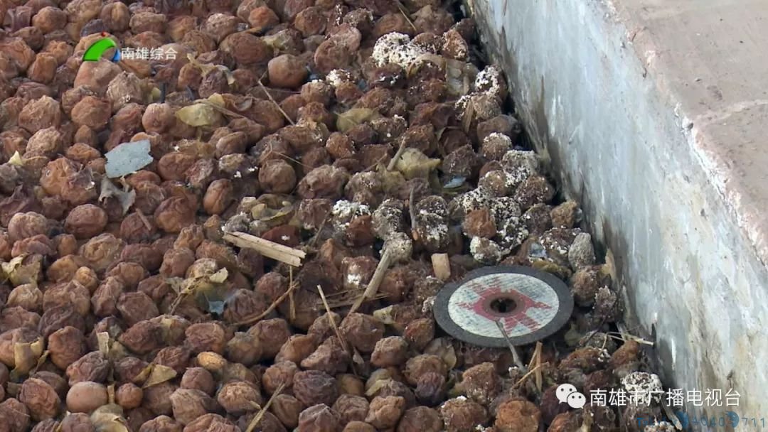 现场曝光！南雄捣毁一处无证经营凉果加工黑窝点，现场环境十分恶劣！