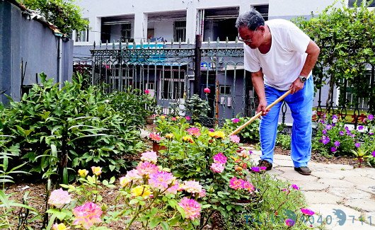 李沧区八旬老人李谦德奉献19年 把荒地变花园