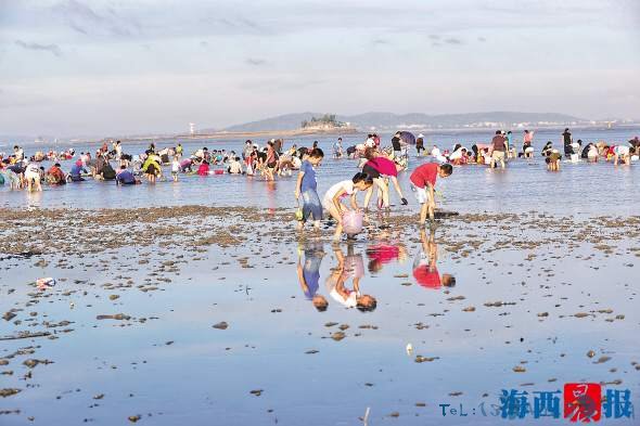 适逢大潮 厦门环岛路海滩众多市民游客潮间赶海