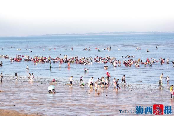 适逢大潮 厦门环岛路海滩众多市民游客潮间赶海