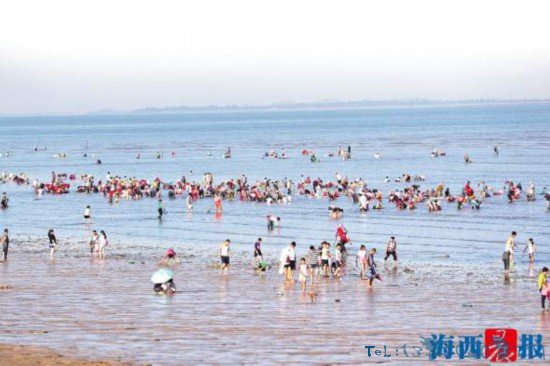 六月初一适逢大潮厦门环岛路海滩众多市民游客潮间赶海