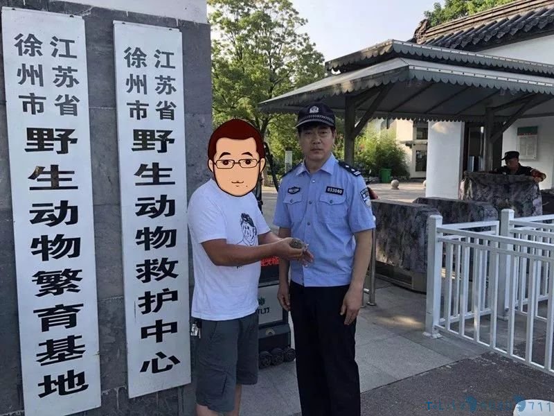 最近，徐州又出现这种可爱的“小家伙儿”！