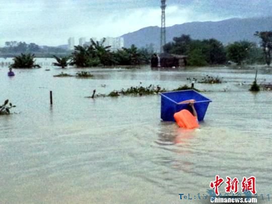 珠海民警不畏粪水横流在洪水中救起5名群众（图）