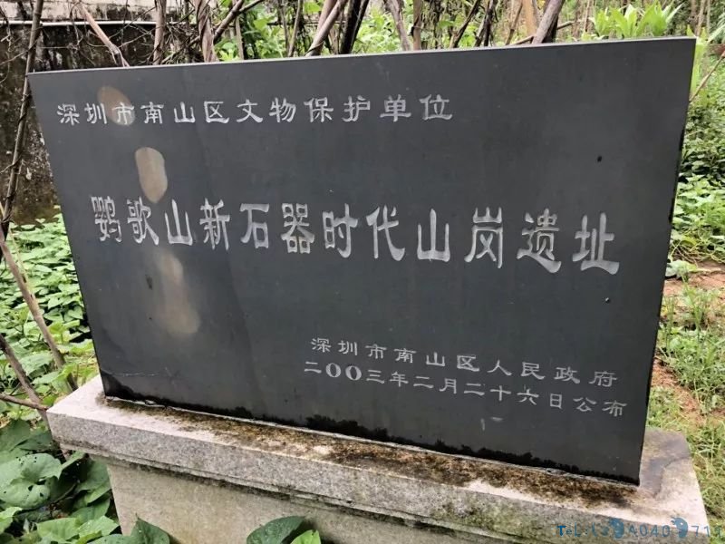 文物保护单位沦为私家菜地，深圳一新石器时代遗址竟被种上番薯
