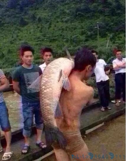 水库泄洪，发大水，数百人逮住大鱼啦