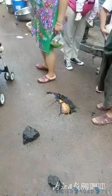 内江一公路上长南瓜？副镇长：高温致路面爆裂，暴雨冲来瓜果