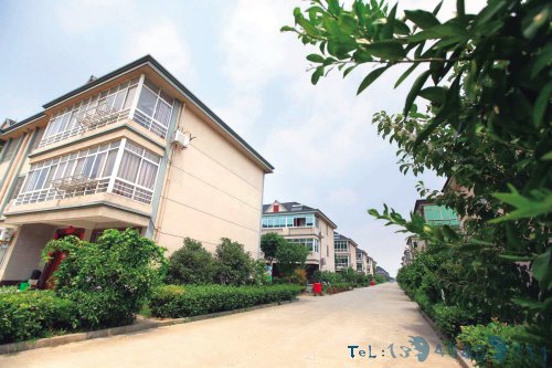全村参与提升乡村气质
