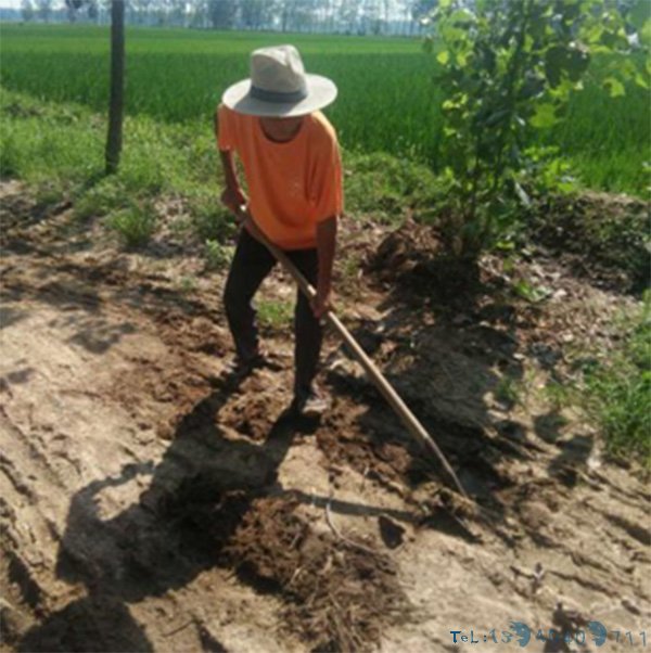 暖闻｜山东76岁老人义务修补道路16年：不图什么，习惯了
