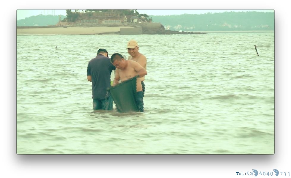 夏季海边人们扎堆挖花蛤 人身安全需注意