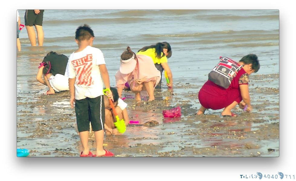 夏季海边人们扎堆挖花蛤 人身安全需注意