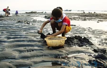 夏季海边人们扎堆挖花蛤 人身安全需注意