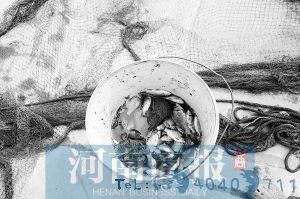 有人捞到了半桶小鱼