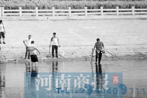 捞鱼、抓泥鳅的市民不在少数