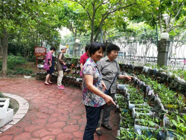 能不能让居民在小区里种上“一亩三分地”？
