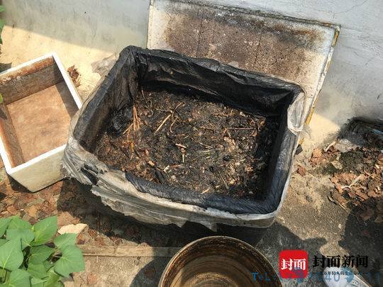 鄰居屋頂種菜施肥樓下住戶崩潰了
