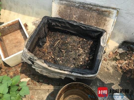 住户屋顶种菜浇粪施肥散发恶臭 住户苦不堪言无奈报警处理