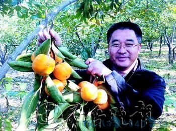 金灿灿的柿子摘到手里,市民心里乐开了花。　本报记者　李文平　摄