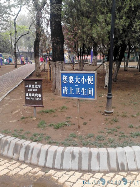设尿桶也没用，照样随地便溺