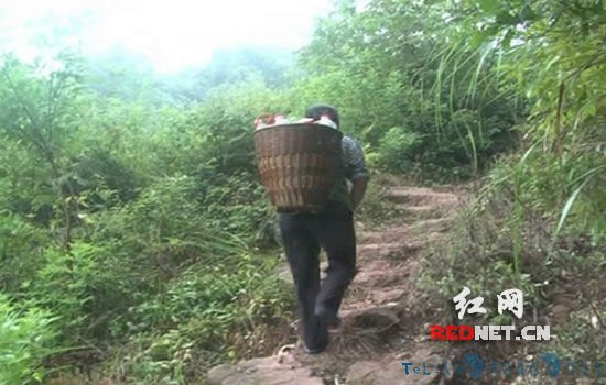 (村民背着水走在山间小道上)
