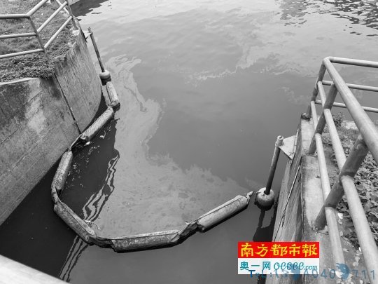 小区旁河涌为何现大片油污