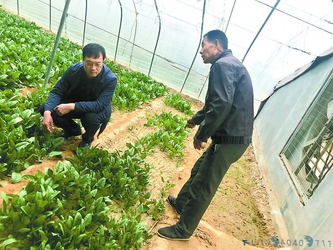 带着妻子去扶贫就此安家 王全忠做了这些事小山村从此变了样……