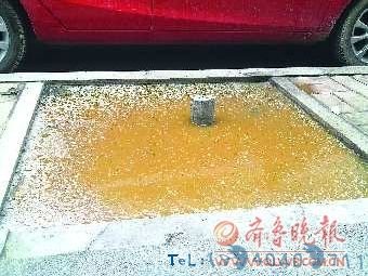 这个树坑内的法桐已经被砍去，只留下树桩和灰黄色的泔水。