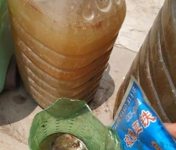 制作酸性肥,浇水兑一点,改良土壤还补充营养,叶子不黄还贼绿