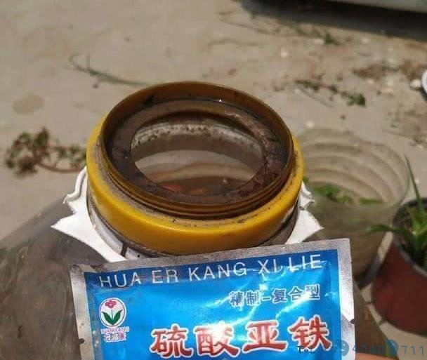 制作酸性肥,浇水兑一点,改良土壤还补充营养,叶子不黄还贼绿