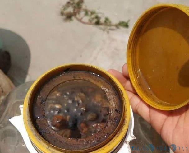 制作酸性肥,浇水兑一点,改良土壤还补充营养,叶子不黄还贼绿