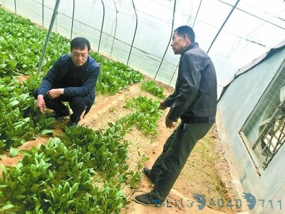 城里来的亲人温暖了整个小山村