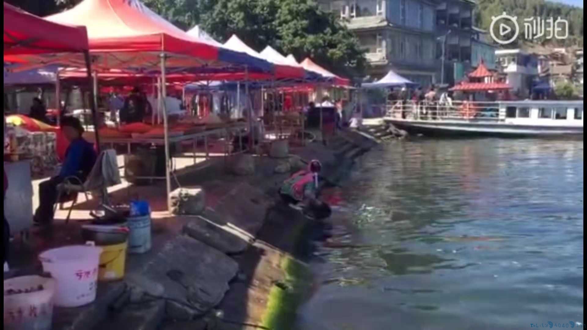 大理通报“金梭岛渔民洱海清洗油污桶”：罚款500元