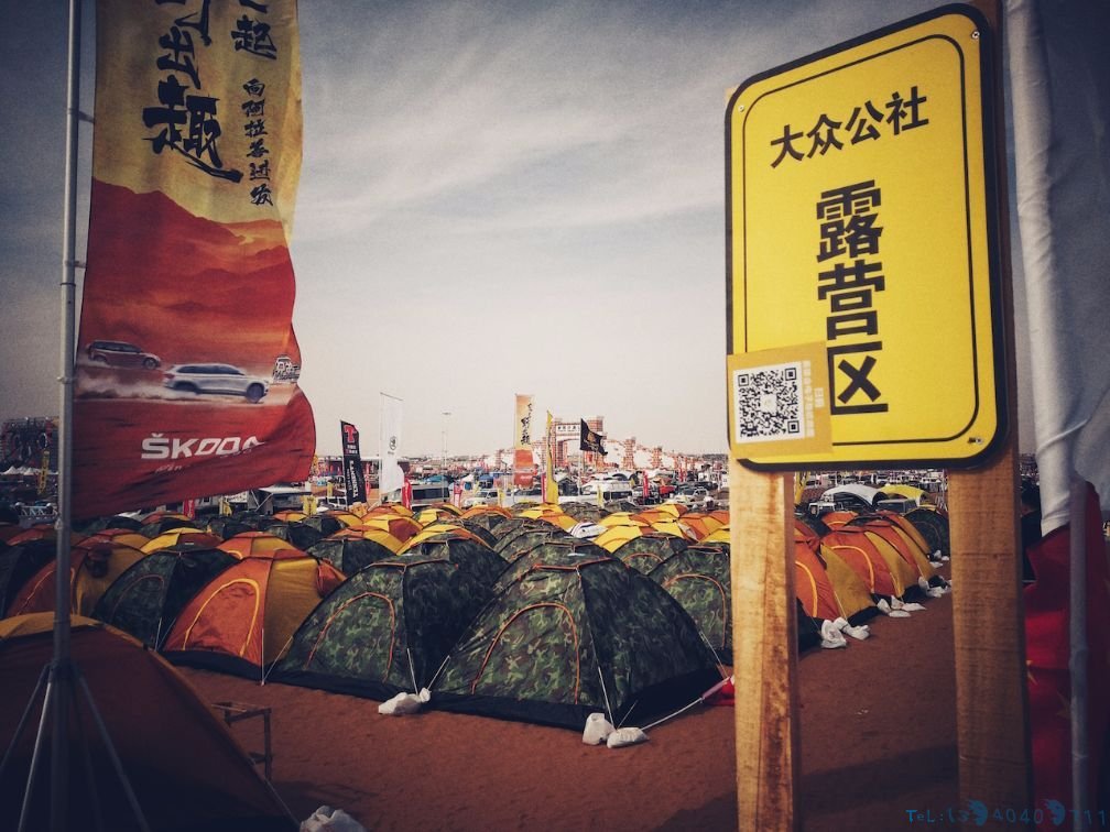 十一被“拐”去阿拉善——兄弟一起野出趣